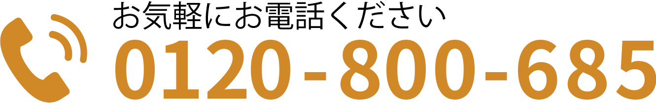 0120-800-685